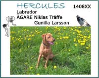 Hercules boxbild