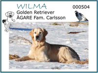 Wilma boxbild